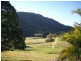 921 Tyalgum Road, Eungella NSW 2484