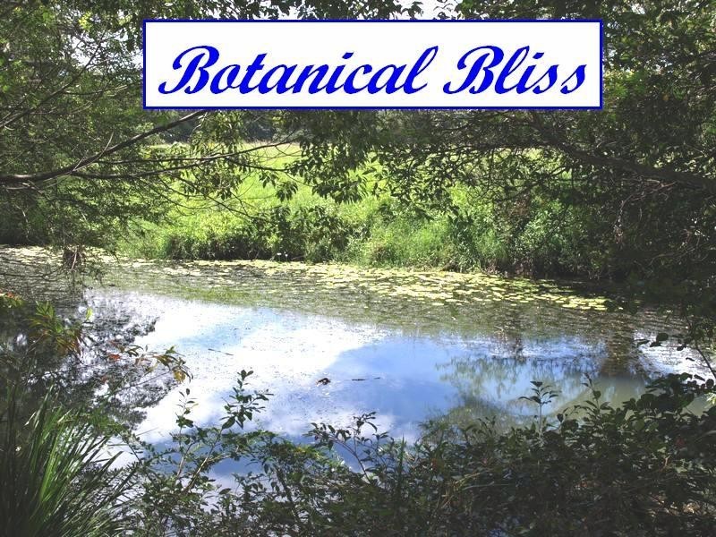 91  Burringbar Road, Burringbar NSW 2483