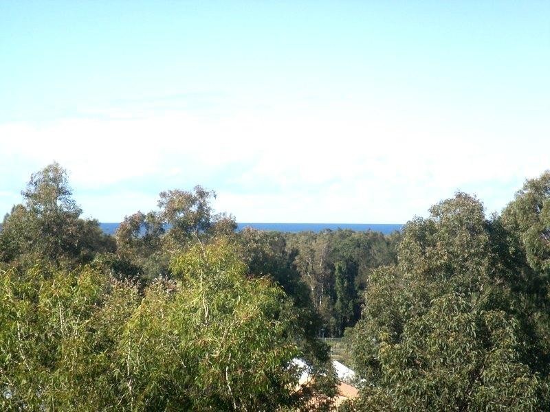 32  Sassafras Street, Pottsville NSW 2489