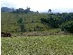 25 MtErnest Crt, Murwillumbah NSW 2484
