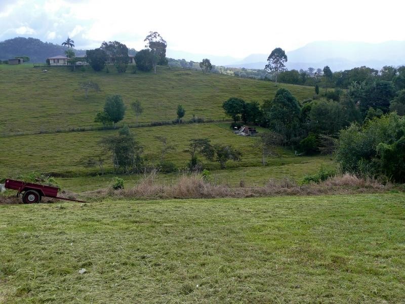 25 MtErnest Crt, Murwillumbah NSW 2484