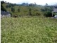 25 MtErnest Crt, Murwillumbah NSW 2484