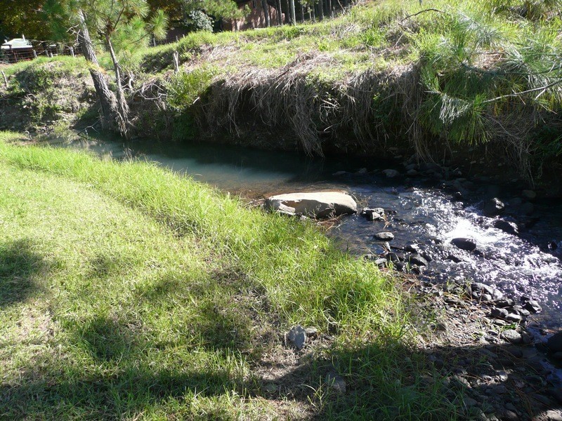 55 Mount Burrell Rd, Mount Burrell NSW 2484