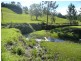 55 Mount Burrell Rd, Mount Burrell NSW 2484
