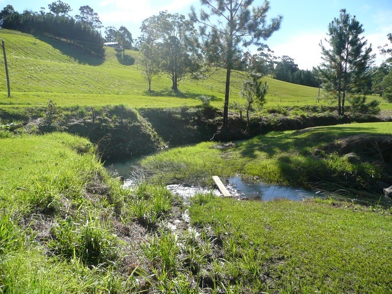 55 Mount Burrell Rd, Mount Burrell NSW 2484