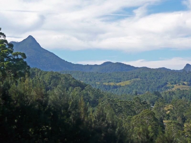 55 Mount Burrell Rd, Mount Burrell NSW 2484