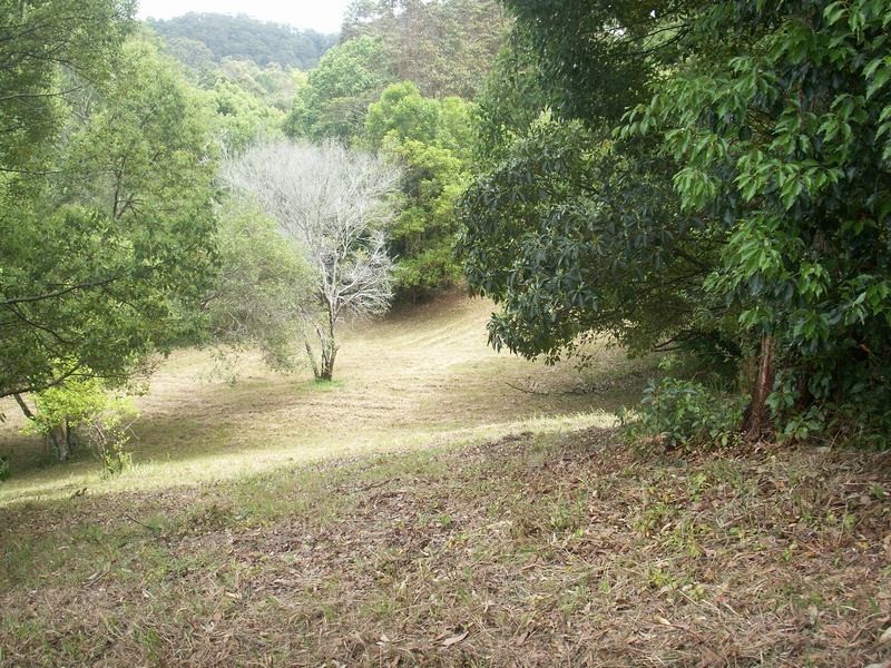 1 Tweed Valley Way, Burringbar NSW 2483