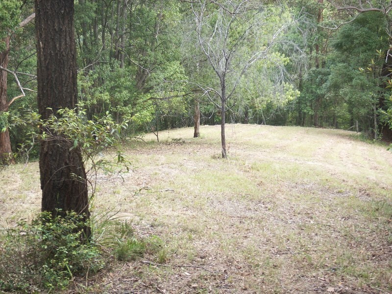 1 Tweed Valley Way, Burringbar NSW 2483