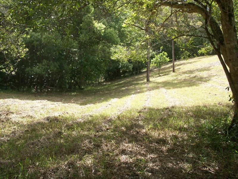 1 Tweed Valley Way, Burringbar NSW 2483