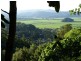 1 Clothiers Creek Rd, Nunderi NSW 2484