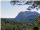 1904 Numinbah Rd, Numinbah NSW 2484