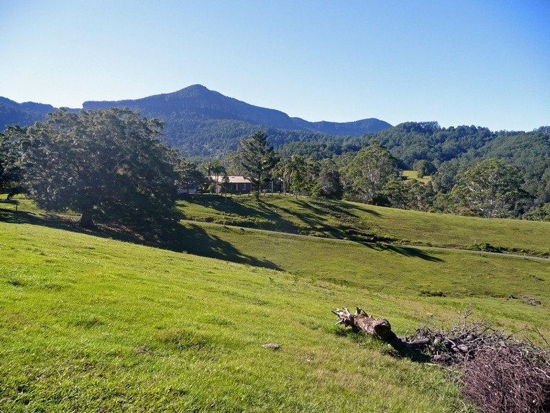 1904 Numinbah Rd, Numinbah NSW 2484