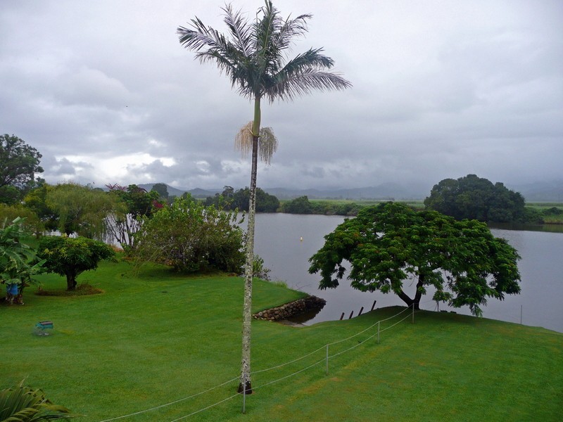 31 Tweed Valley Way, Murwillumbah NSW 2484