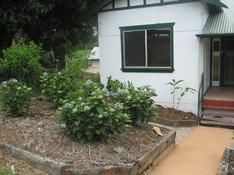 13 Peters Street, Murwillumbah NSW 2484