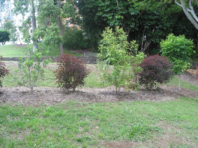 13 Peters Street, Murwillumbah NSW 2484