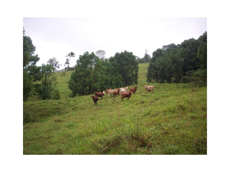 lot 11 Jowetts Road, Burringbar NSW 2483