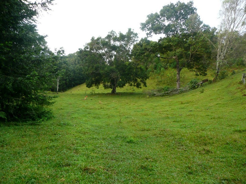 118 Malabar Drive, Uki NSW 2484