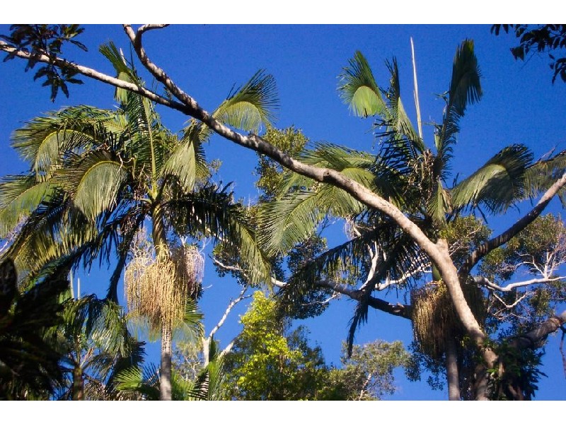 5/40 Martinelli Ave, Banora Point NSW 2486