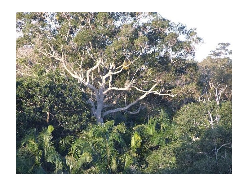 5/40 Martinelli Ave, Banora Point NSW 2486