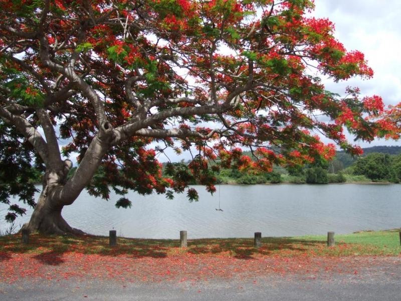 48 Bawden Street, Tumbulgum NSW 2490