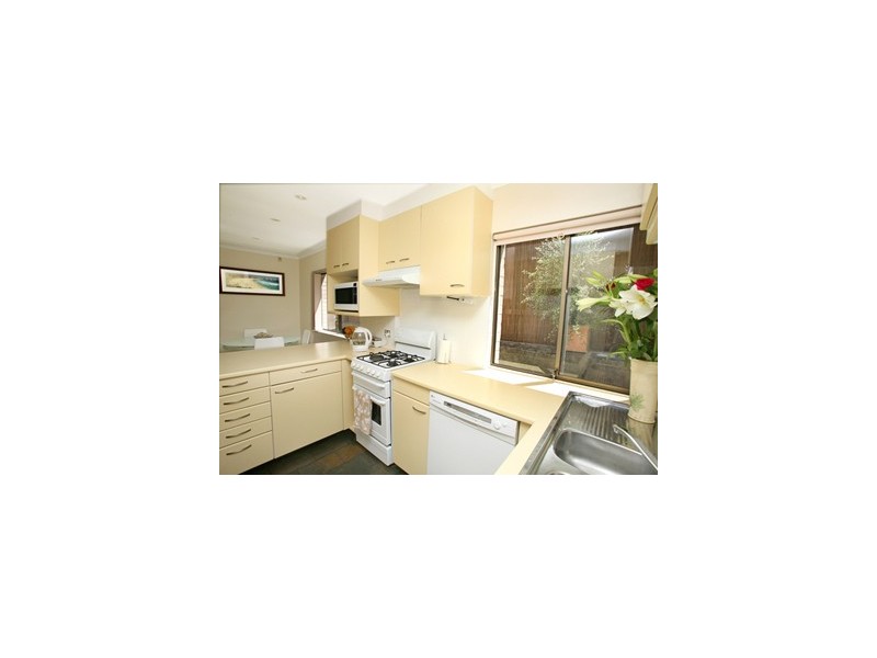 36 ROSCOE STREET, Bondi Beach NSW 2026