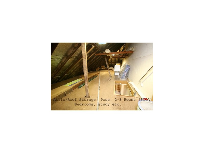 36 ROSCOE STREET, Bondi Beach NSW 2026