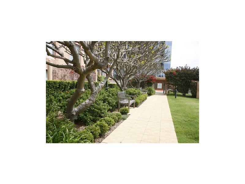 202/79 Grafton street, Bondi Junction NSW 2022