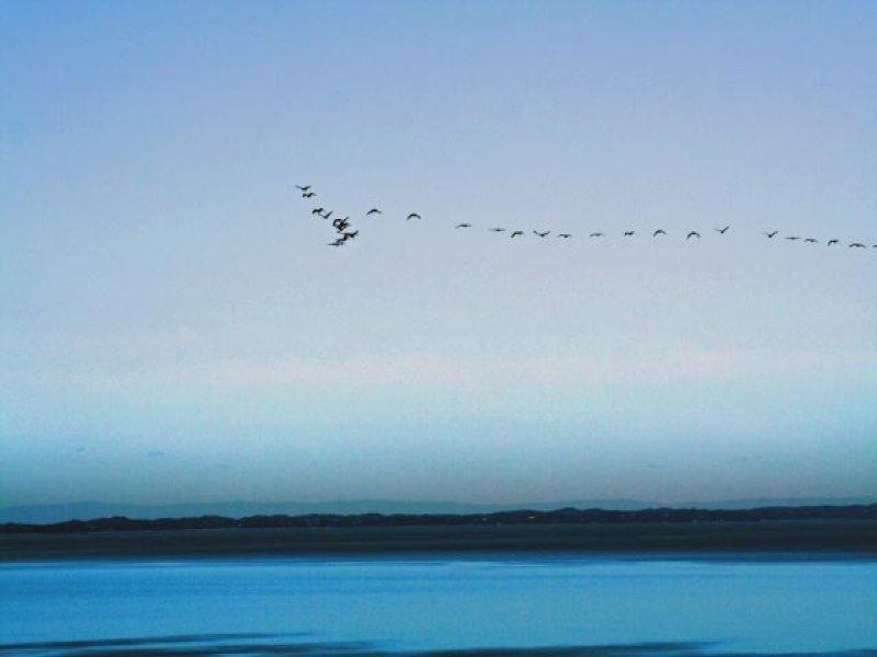 Mount Martha VIC 3934