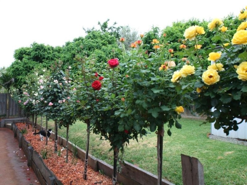 3 Wily Court, Lilydale VIC 3140