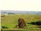 Bacchus Marsh VIC 3340