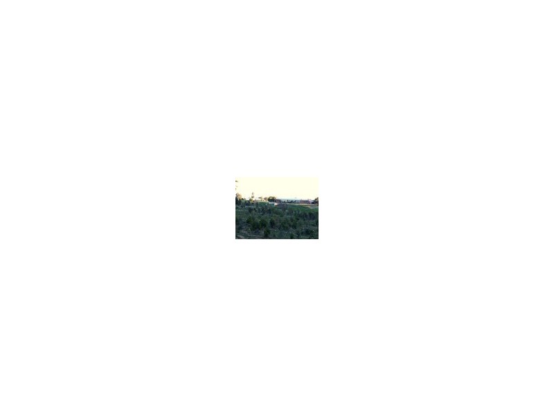 Bacchus Marsh VIC 3340