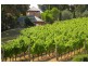 Red Hill VIC 3937