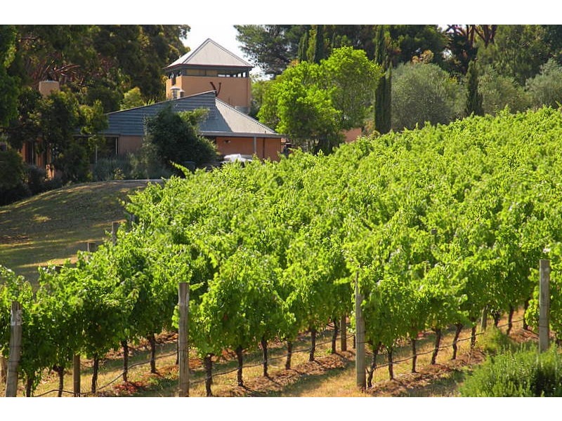 Red Hill VIC 3937