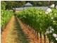 Red Hill VIC 3937