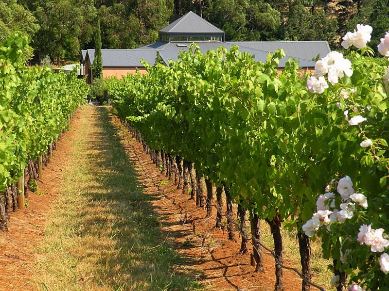 Red Hill VIC 3937