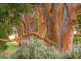 Red Hill VIC 3937