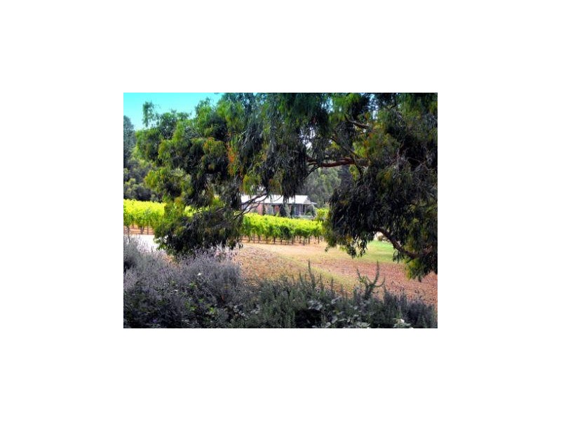 Red Hill VIC 3937