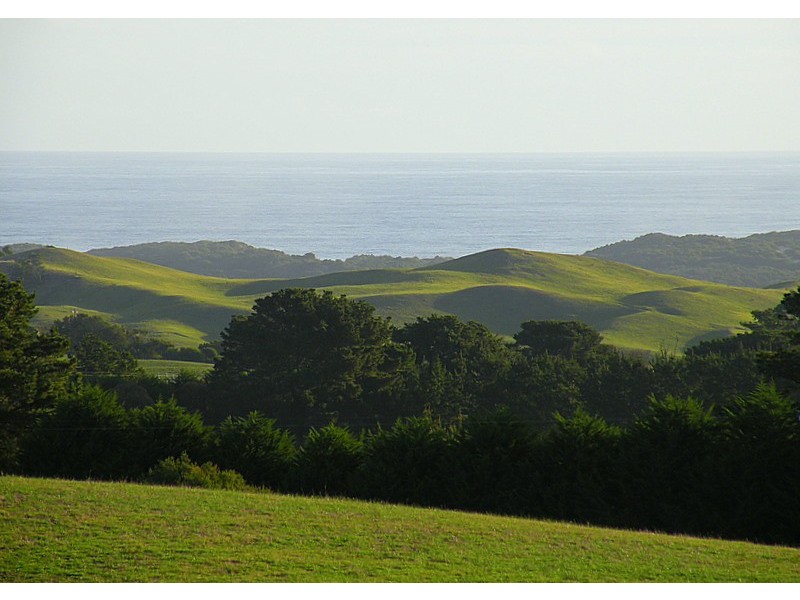 Cape Schanck VIC 3939