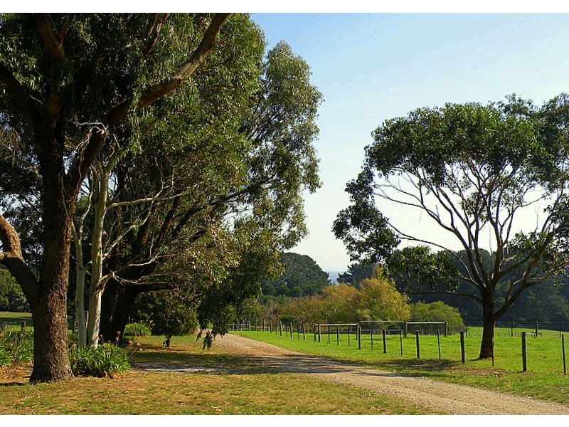 Cape Schanck VIC 3939