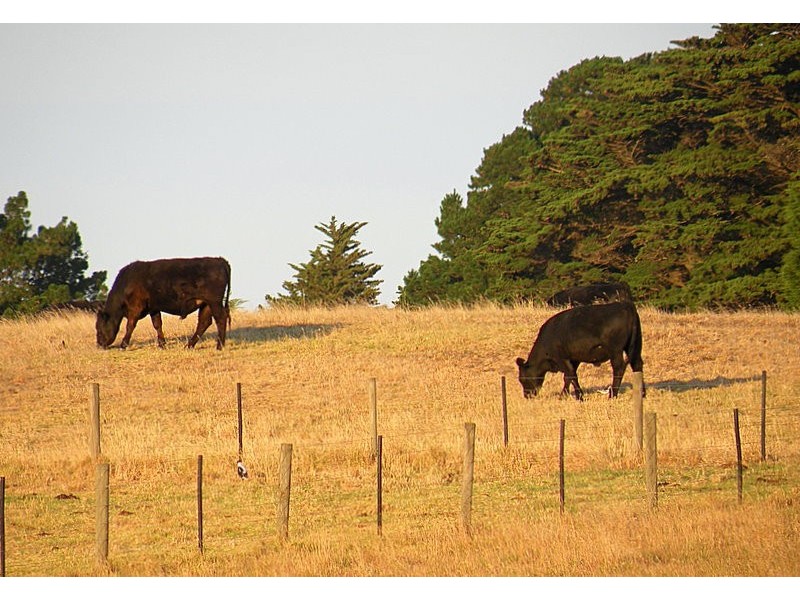 Cape Schanck VIC 3939