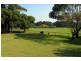 Cape Schanck VIC 3939