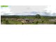 Watanobbi NSW 2259