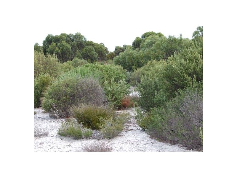 L2  Flour Cask Road, Haines SA 5223