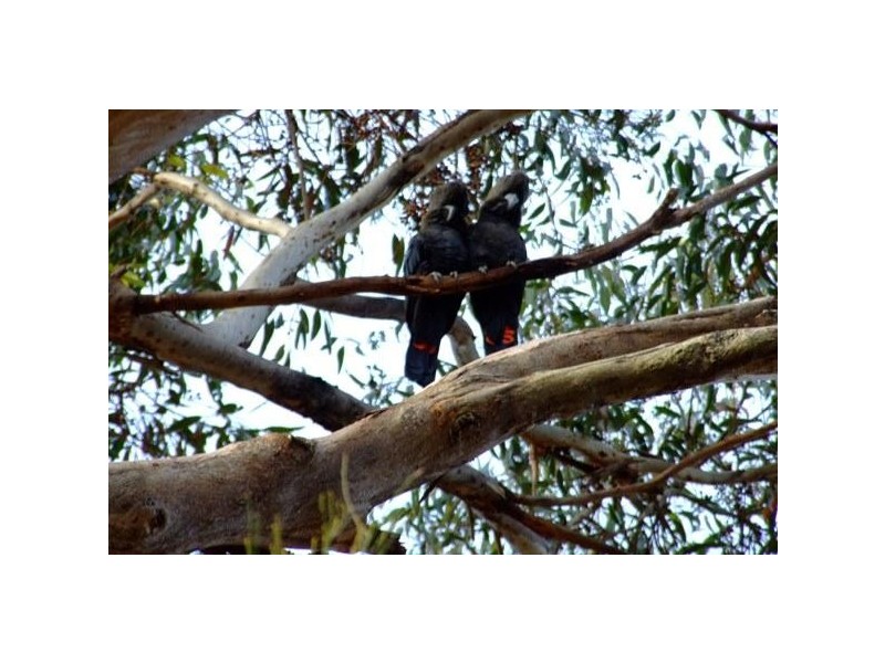 L6 Redbanks Road, American River SA 5221