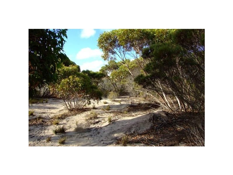 L18  Government Road, Dudley West SA 5222