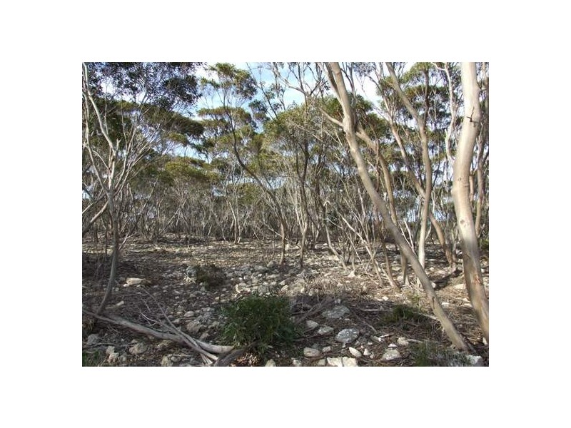 L26 Glen Barrett Drive, Kingscote SA 5223