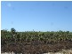 71  Inverway Circuit, Farrar NT 0830