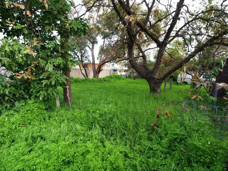 36 Bertram Street, Maddington WA 6109