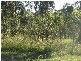 138 Campbell, Kooralbyn QLD 4285