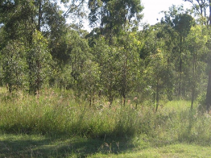 138 Campbell, Kooralbyn QLD 4285